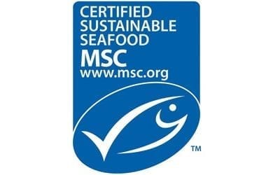 MSC-Certified Loligo Squid Now Available!
