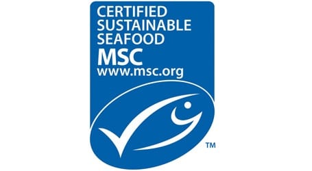 MSC-Certified Loligo Squid Now Available!