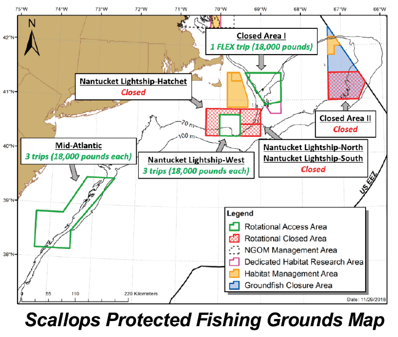 Scallops Protected Fishing Grounds