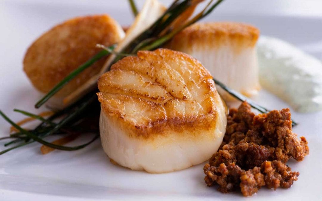 Seared Scallops and Chorizo